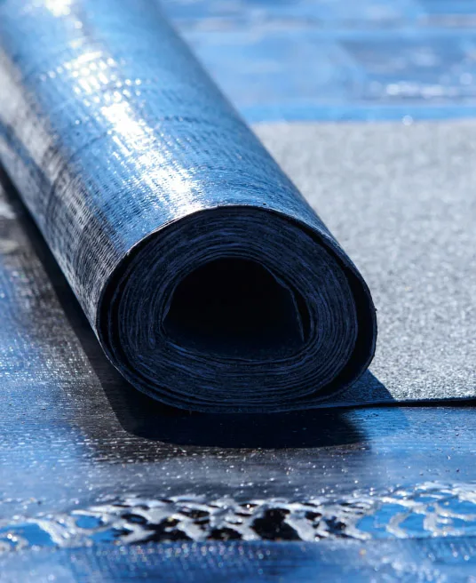 DIENST PAGINA - SOORTEN PLATTE DAKEN Dakdekkersbedrijf Hoogeveen